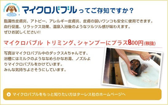 マイクロバブル